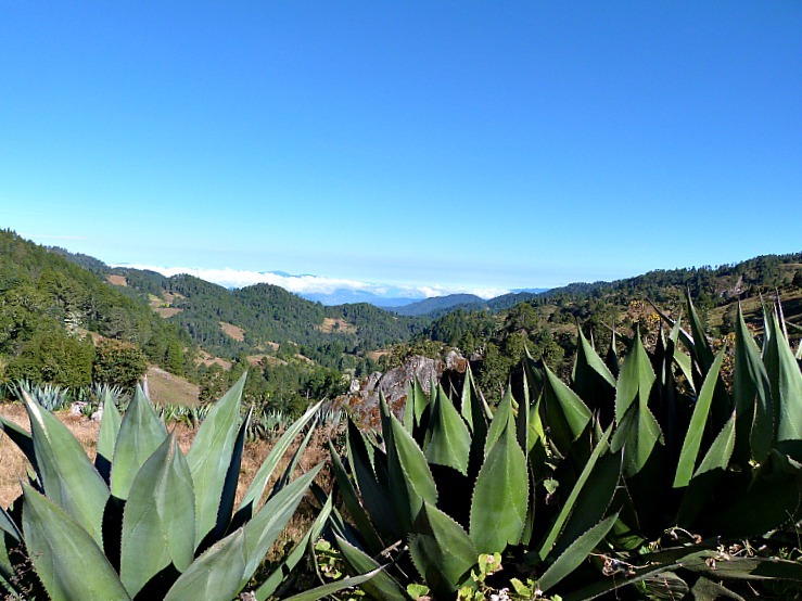 如何在墨西哥的 Pueblos Mancomunados 村莊之間徒步旅行